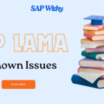 SAP LAMA Known Issues